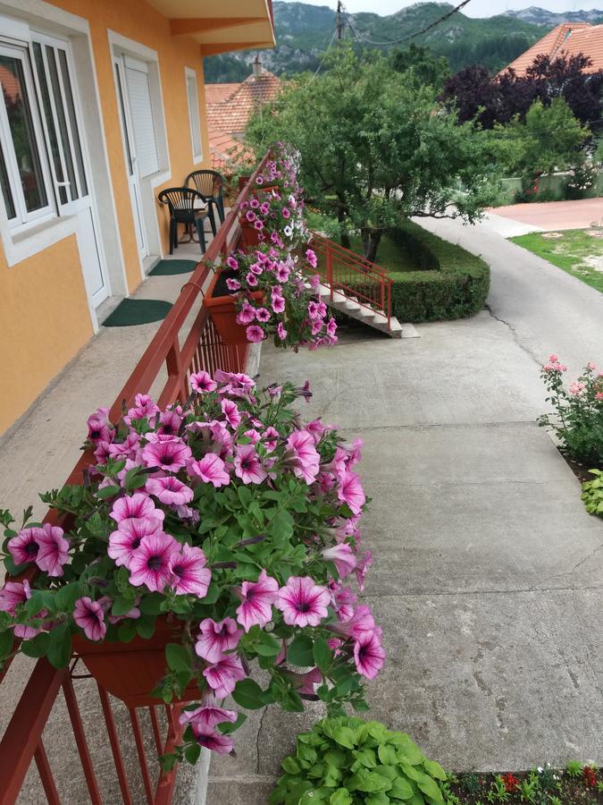 Apartments Mirkovic Cetinje Exteriér fotografie