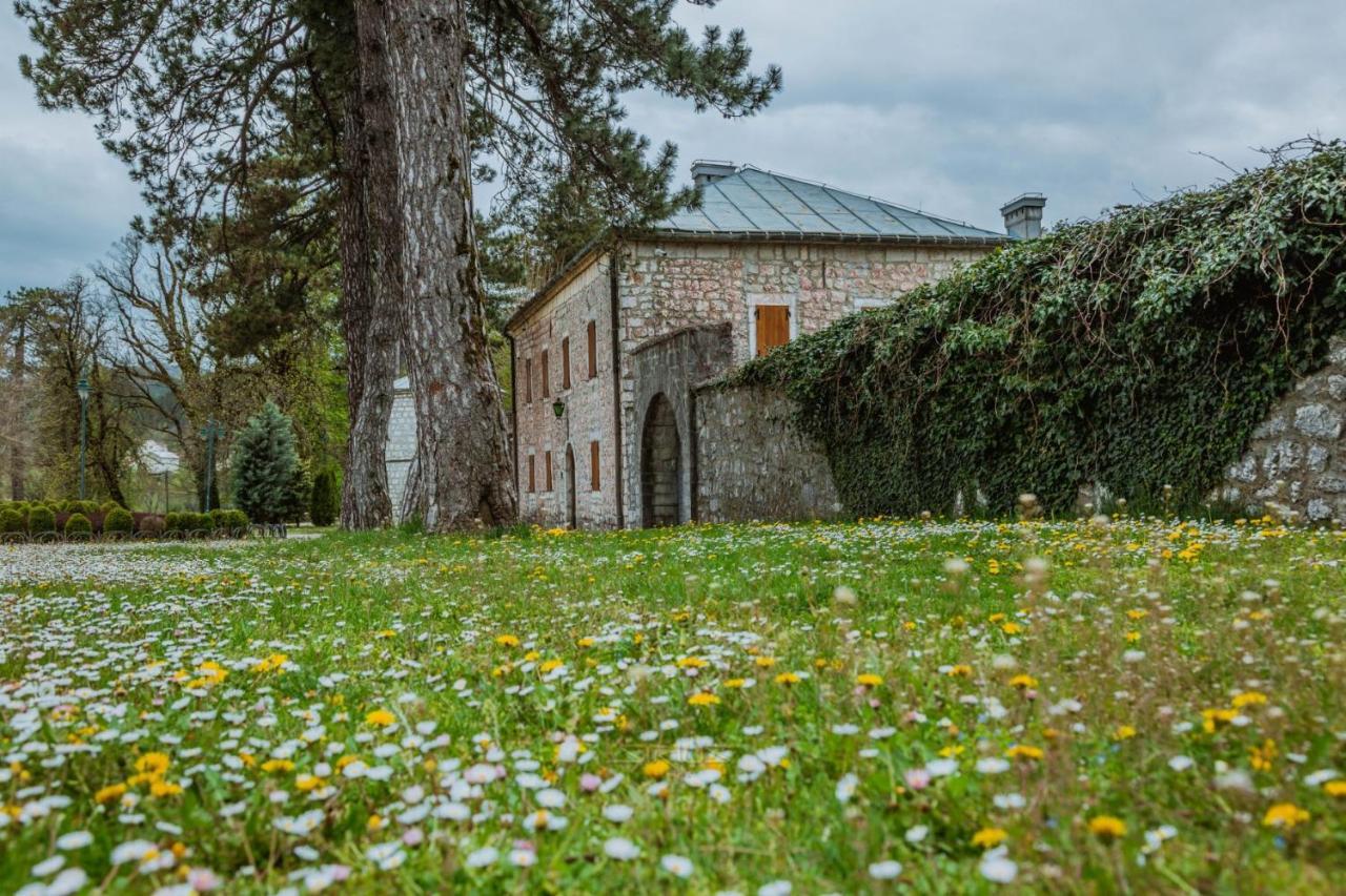 Apartments Mirkovic Cetinje Exteriér fotografie